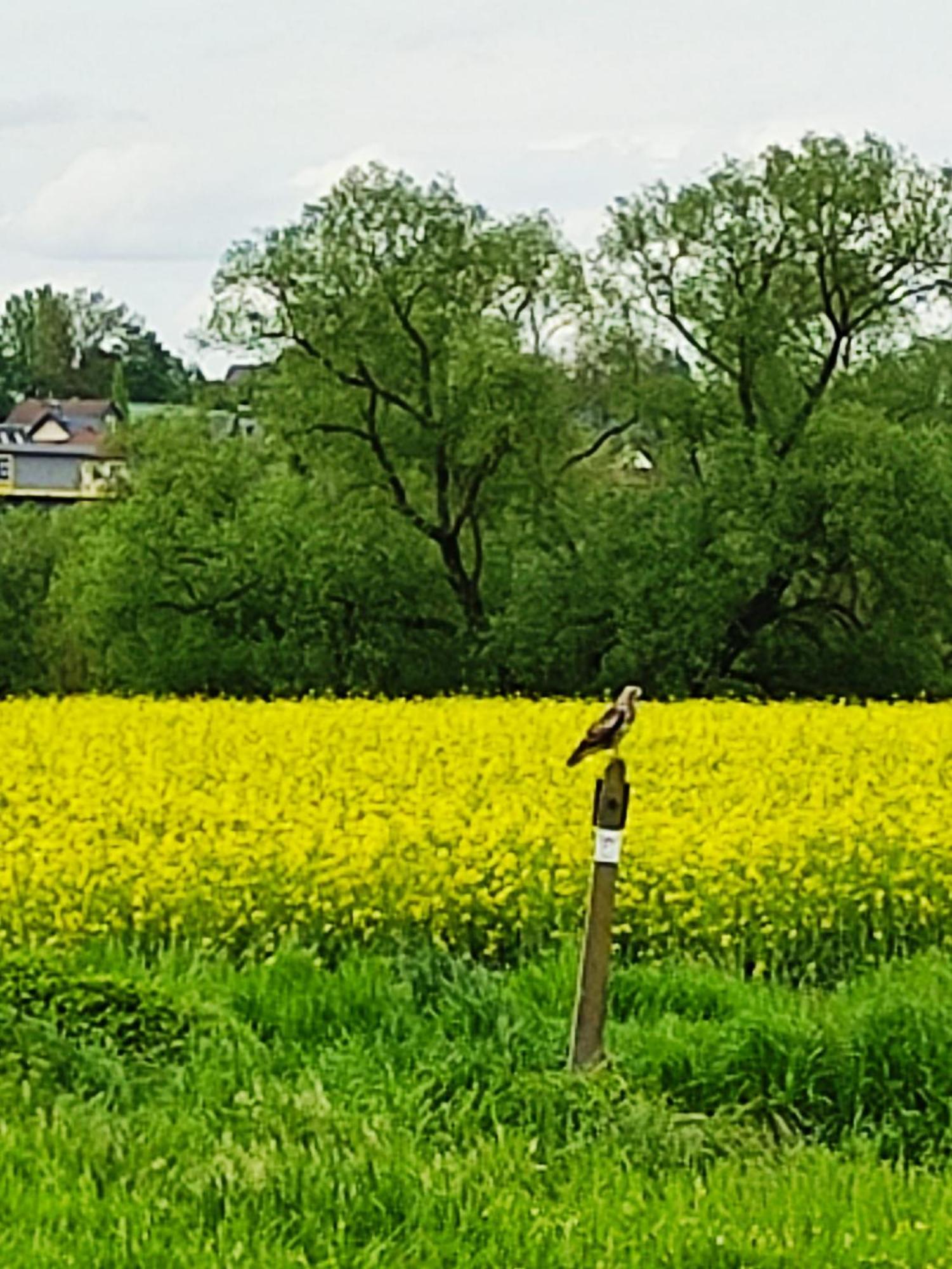Ferienwohnung An Der Lahn ลิมบวร์ก อัน แดร์ ลาน ภายนอก รูปภาพ